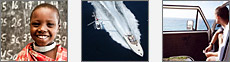 View more examples